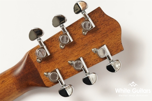 HGAF-5100SE/FMH-C - NAT